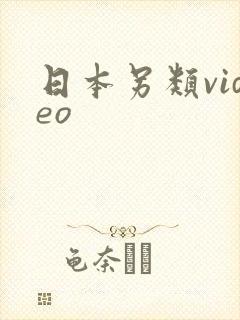 日本另类video