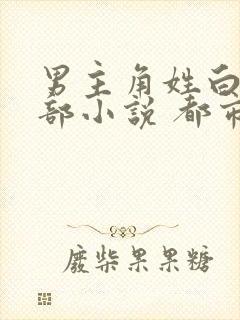 男主角姓白的全部小说 都市