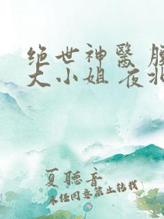 绝世神医 腹黑大小姐 夜北