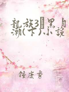 龙族3·黑月之潮(下)小说