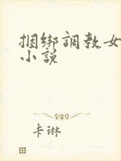 捆绑调教女警的小说