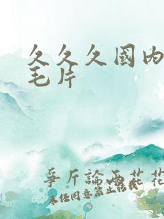 久久久国内精品毛片