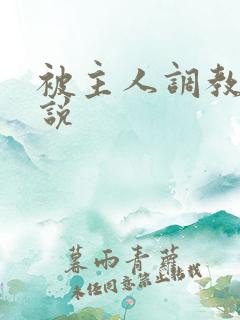 被主人调教的小说