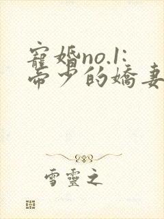 宠婚no.1:帝少的娇妻