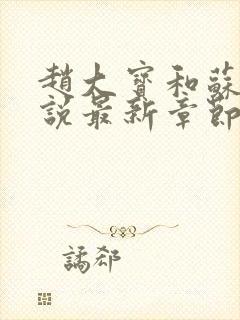 赵大宝和苏媚小说最新章节更新时间