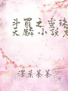 斗罗之灵珠神剑天麟 小说免费阅读