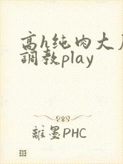 高h纯肉大尺度调教play