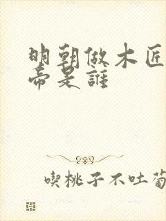 明朝做木匠的皇帝是谁