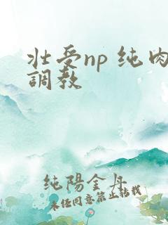 壮受np 纯肉调教