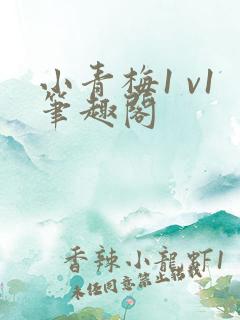 小青梅1 v1笔趣阁