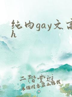 纯肉gay文高h