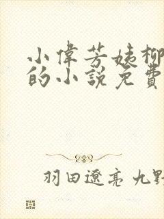 小伟芳姨柳娇娇的小说免费阅读