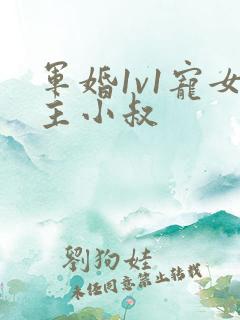 军婚1v1宠女主小叔