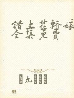 错上花轿嫁王爷全集免费