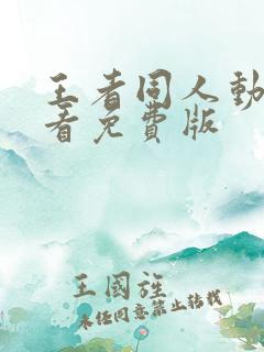 王者同人动画观看免费版