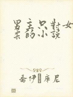 男主只对女主温柔的小说