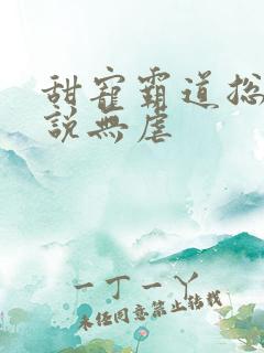 甜宠霸道总裁小说无虐