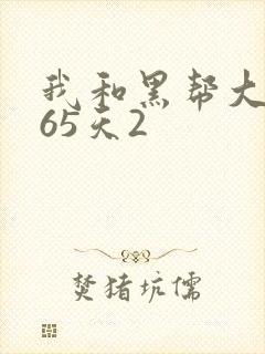 我和黑帮大佬365天2