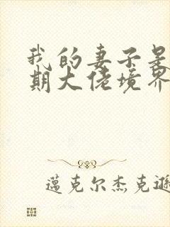 我的妻子是大乘期大佬境界