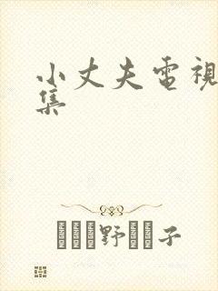 小丈夫电视剧全集