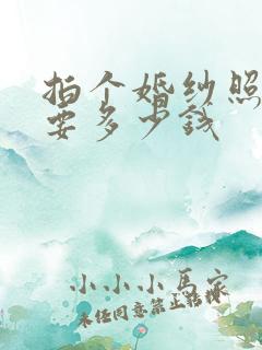 拍个婚纱照大概要多少钱