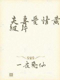 夫妻爱情黄色一级片