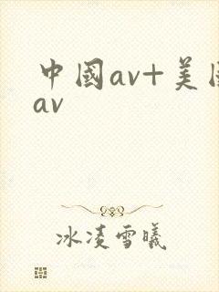 中国av+美国av