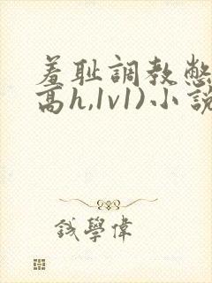 羞耻调教憋尿(高h,1v1)小说