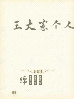 王大宪个人简介