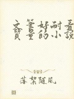 文笔好耐看的高质量的小说言情