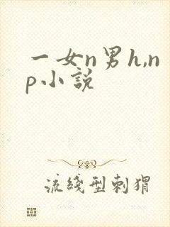 一女n男h,np小说