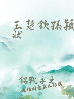 王楚钦孙颖莎现状