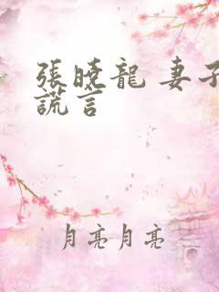 张晓龙 妻子的谎言