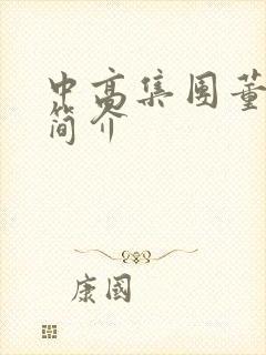 中高集团董事长简介