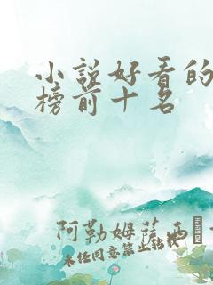 小说好看的排行榜前十名