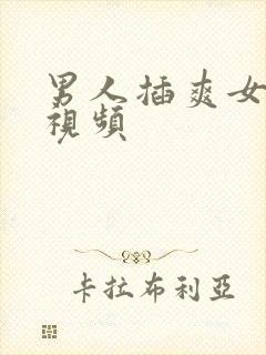 男人插爽女人的视频