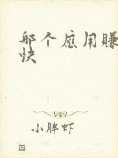 哪个应用赚钱最快