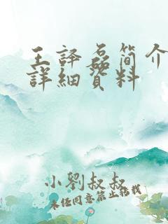 王译磊简介个人详细资料