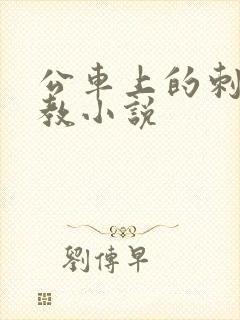 公车上的刺激调教小说