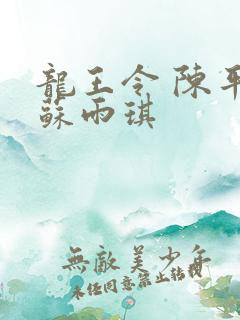 龙王令 陈平 苏雨琪