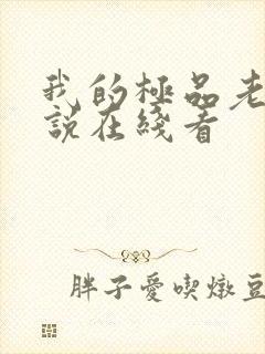 我的极品老婆小说在线看