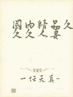 国内精品久久久久久人妻