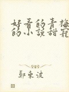 好看的青梅竹马的小说甜宠文