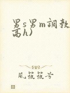 男s男m调教(高h)