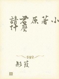 请君原著小说叫什么