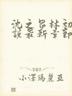 沈之昂林初窈小说最新章节免费阅读