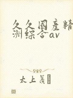 久久国产精品亚洲综合av