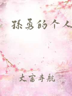 孙勇的个人简介