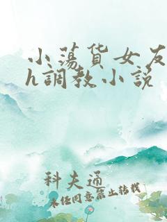 小荡货女友小怡h调教小说