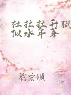 杜拉拉升职记之似水年华